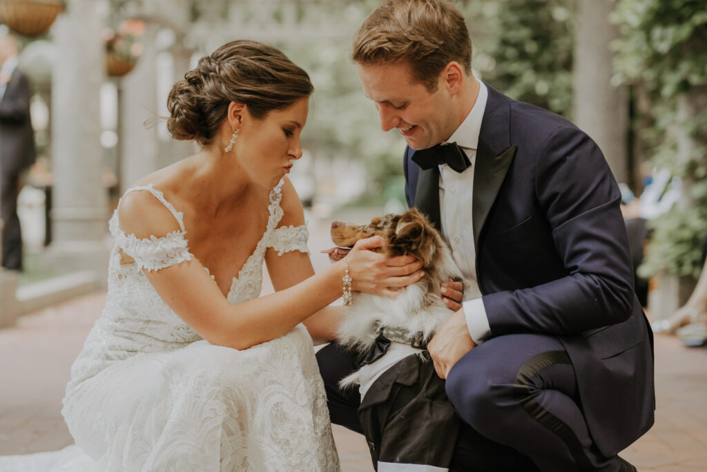 First Look with Dog Wedding